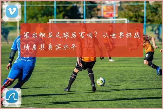 塞尔维亚足球厉害吗？从世界杯战绩看其真实水平
